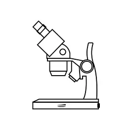 Stereo Microscope
