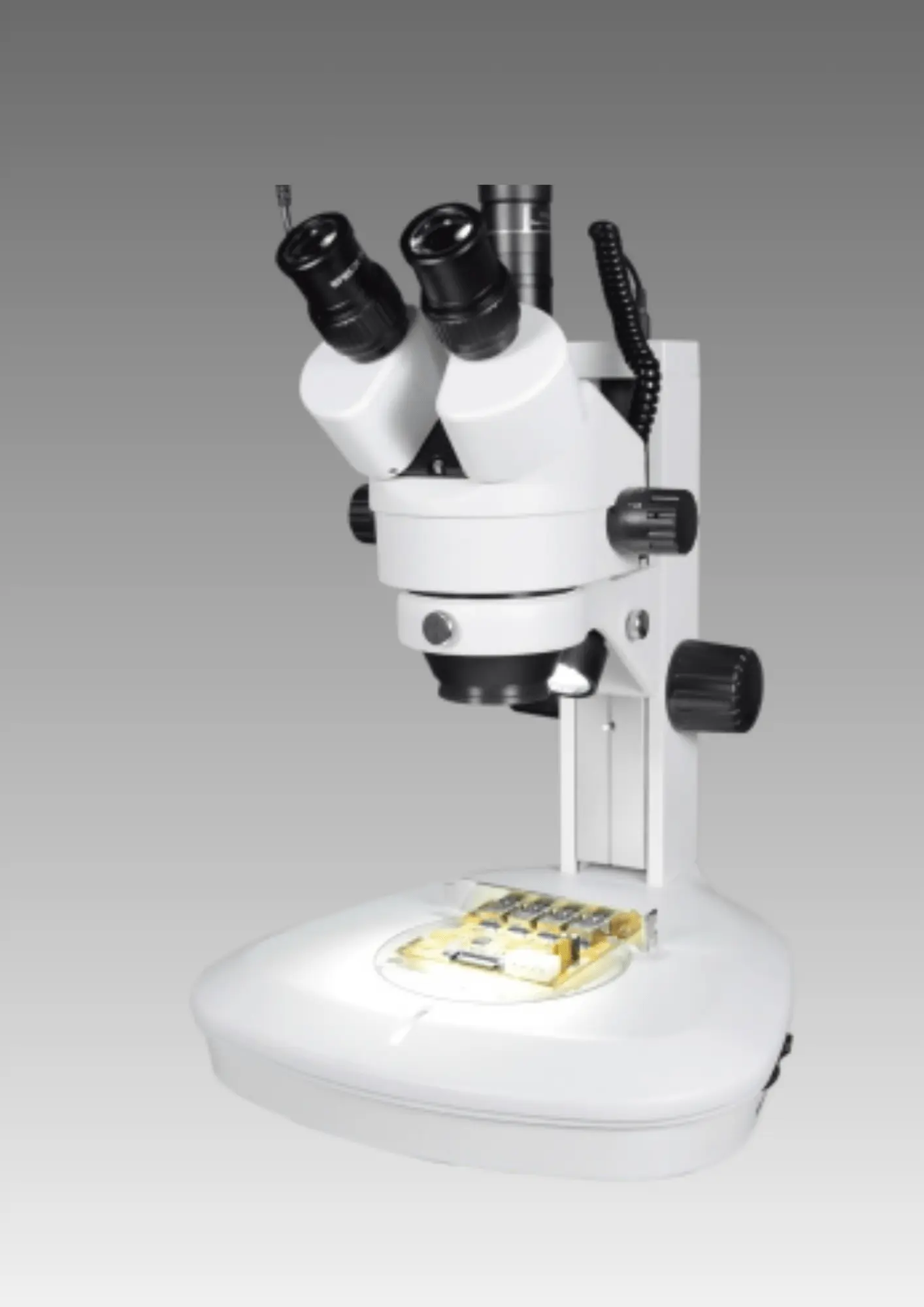 STZ TI Stereo Microscope