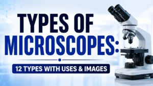 Types of Microscope